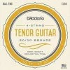 Empire Guitars D'Addario EJ66 80/20 Bronze Tenor Acoustic Guitar Strings 10-32 Accessories