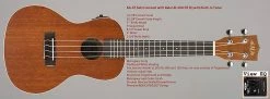 Empire Guitars Kala KA-CE Concert Ukulele Acoustic/Electric