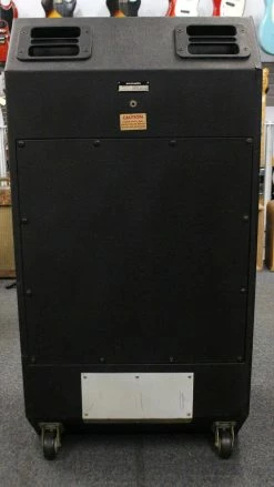 Amps Acoustic 301 Bass Cab