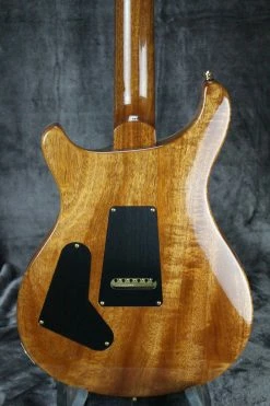 2019 Paul Reed Smith Custom 24 Electric