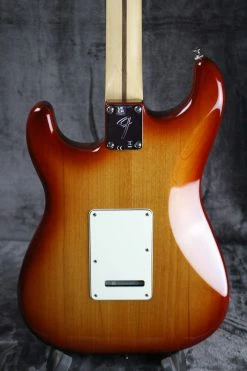 2021 Fender Player Plus Top Stratocaster Electric
