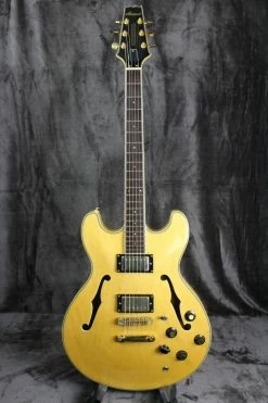 Aria ProII Electric Aria Pro II TA-61/N