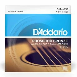 Empire Guitars D'Addario EJ16 Phosphor Bronze Light Acoustic Guitar Strings, .012 - .053