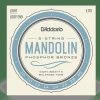 Empire Guitars D'Addario EJ73 Light Phosphor Bronze Mandolin Strings -3 Packs *Free Shipping In The USA* Accessories