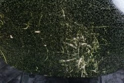 Bass Magnatone Hurricane