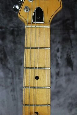 1982 Peavey T-27 Electric