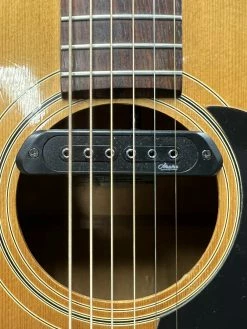 1976 Epiphone Bicentennial FT-200