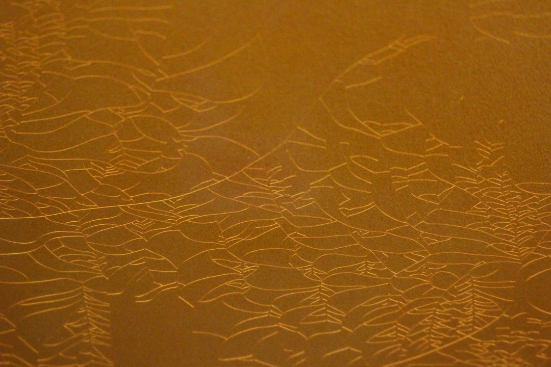 Best deal ๐งจ Empire Guitars Electric 2016 Fender Custom Shop LTD Smuggler's Telecaster โญ 10 Empire Guitars Electric 2016 Fender Custom Shop LTD Smuggler's Telecaster