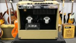 Peavey Electronics Corporation Peavey Delta Blues 2x10 Combo