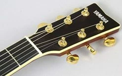 Coupon 🤩 Empire Guitars Yamaha LS-TA BS Brown Sunburst TransAcoustic With Gig Bag *Free Shipping In The USA* 🔥 10 Empire Guitars Yamaha LS-TA BS Brown Sunburst TransAcoustic With Gig Bag *Free Shipping In The USA*