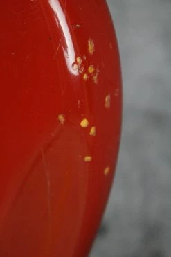 Empire Guitars 2001 Fender American Vintage '62 Reissue Jazz Bass