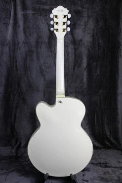 Ibanez AF75TDG
