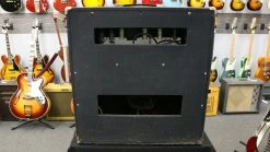 Ampeg Amplification Ampeg 1960's Gemini G-15 W/FTSW Amps