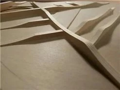 Yamaha FGX5 Red Label Natural With Hard Case *Free Shipping In The USA* Acoustic