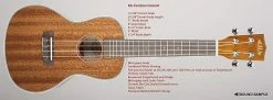 Empire Guitars Acoustic Kala KA-CG Concert Ukulele Mahogany Gloss Top