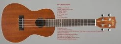 Empire Guitars Kala KA-C Concert Ukulele - Satin Laminated Satin Mahogany