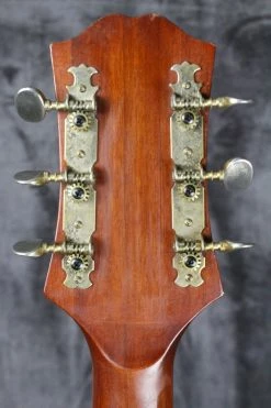 1976 Epiphone Bicentennial FT-200